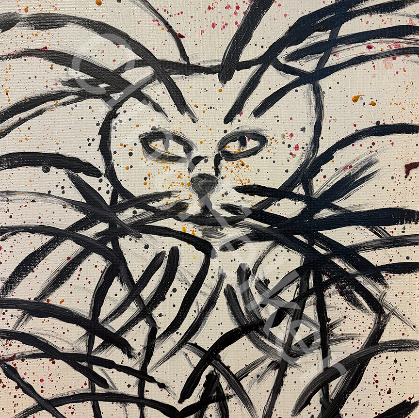 Splatter Cat